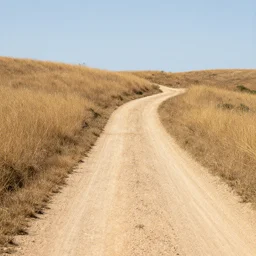 a dirt road through a gentle hill landscape, medium shot camera angle, dry grass