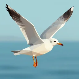 low poly art of a seagull
