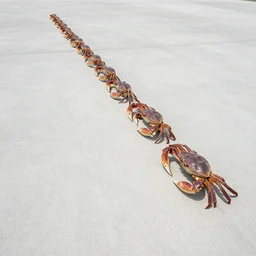 crabs lined up in a single file line across a giant perfectly flat concrete plane that goes out as far as the eye can see