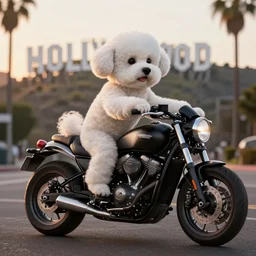 a photorealistic image of bichon frise riding a black motorcycle in Hollywood at sundown. This 4K HD image is Trending on Artstation, featured on Behance, well-rendered, extra crisp, features intricate detail and the style of Unreal Engine.