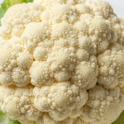 cauliflower in incredible detail