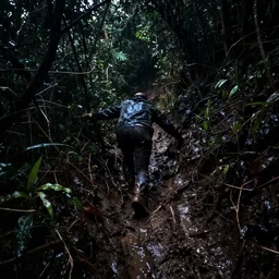 First person perspective, POV, Haunted psychedelic trailcam, night time scene, dark, rain, wet mud, deep in the wet entrails!!!!!! of the hill. Lost in the dark Pushing through dense undergrowth, No path, just this squalid passage of mud and rain.