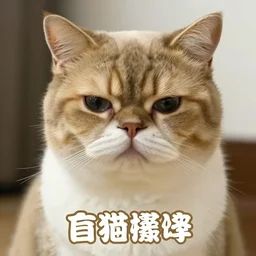 grumpy cat original meme