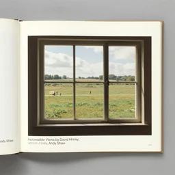 Inaccessible Views by David Hockney, Andy Shaw, 1988, exhibition catalog