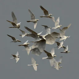 a occipital, metamorphous group of birds flying through the air by edward dugmore, polycount, generative art, biomorphic, sketchfab, bryce 3 d