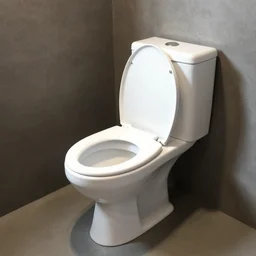 a toilet car