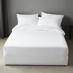 tony hawk pro bed