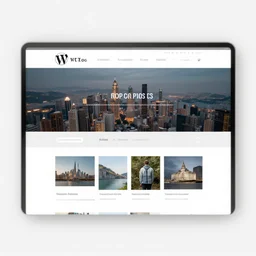 best wordpress theme