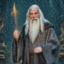 Long Shot a old wizard, award winning photo