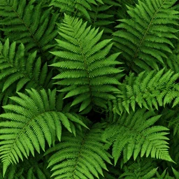beautiful green plant wallpaper 1 0 8 0 p, artstation, ferns