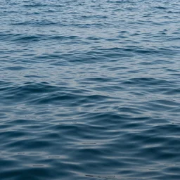 A photo of the ocean, ray tracing reflections