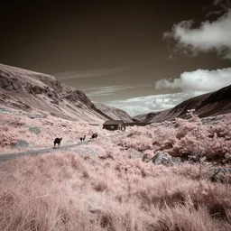 infrared photografy of an irish landscape