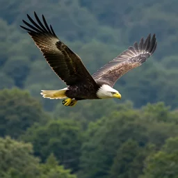 Eagle soaring over mountain forest 4k trending on artstation