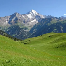 realistic view from a mountaintop, high mountains, green meadow, alps, pyranees, digital painting, wallpaper, realistic lighting