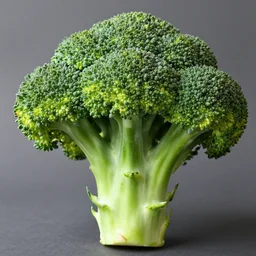 a broccoli with alligator mouth showing many sharp teeth