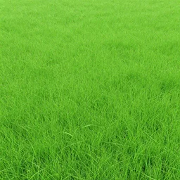 texture hand drawn grass