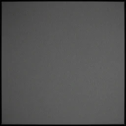 film grain, texture map, monochrome, 4 k