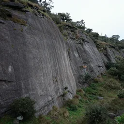 horsnell's gully
