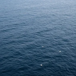 birds eye view of the ocean, chrome look, rough texture, HD, octane render, black and white with light blue highlights