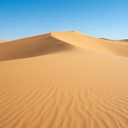 a desert dessert