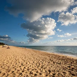 landscape, strongly low - angle. long sandy beach, people, blue sea and sky, clouds, sea birds, beach parasols