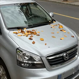 a car covered by leaves