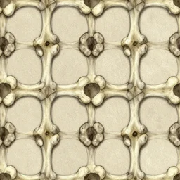 seamless bone texture