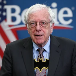 bernie sanders as socialist batman
