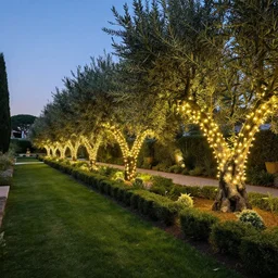 . award - winning landscape design, a long thin mediterranean garden with olive tree draped in fairy lights, high - quality photograph at twilight