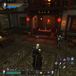 a chinese nightclub in the middle of whiterun, 3 dcg, skyrim, oblivion, morrowind, pc game, gameplay screenshot