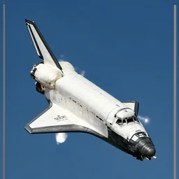 the space shuttle in medieval religious art