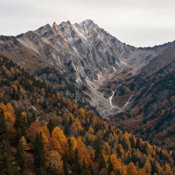 majestic mountain scene in autumn, ultra detail, professionally retouched, soft lighting, wide angle, 8 k high definition, intricate, elegant, art by lisa buijteweg, shinybinary, alex stoddard, lars van de goor, margarita kareva, j scott campbell