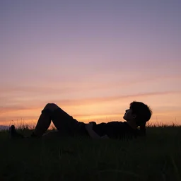 silhouette of a man laying in a field of grass, looking at the beautiful dusk sky