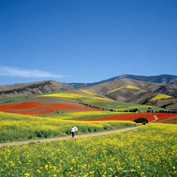 a brigth colorful landscape by steve mccurry