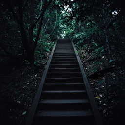 a dark staircase found in the forest, leading down into the dark, 35mm photography