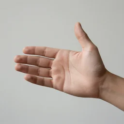 photo of a hand