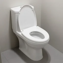 marble maze toilet