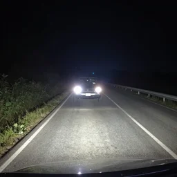 dashcam footage of a cryptid crossing a country road at night, headlights illuminate the scene, very high contrast lighting