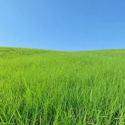 lively grassland of nature, matte painting, concept art, 4 k