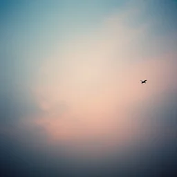 image from a dream