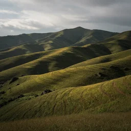 landscape photography alex grey style