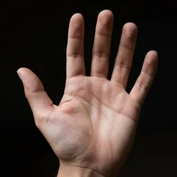 hand, photorealism, 4 k, high details, high resolution