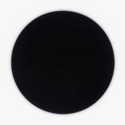 A photo of a black sun taken by James Webb
