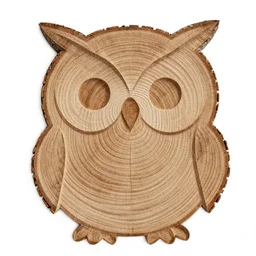tree rings etched into a tree stump in the shape of an owl face
