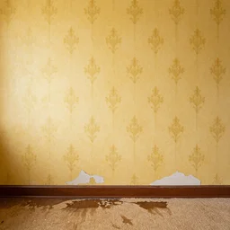 mono yellow wallpaper with damp carpet sort of damaged