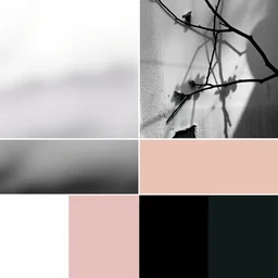 color scheme : achromatic. mood : delight. theme : carpe diem.