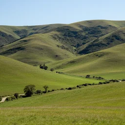 hills and fields