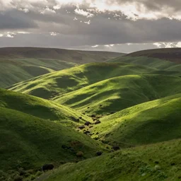 a beautiful photograph of green rolling hills, scotland, soft lighting, ultra wide angle lens