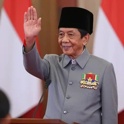 chinese jokowi