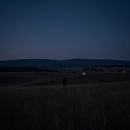 a midnight gospel inspired landscape